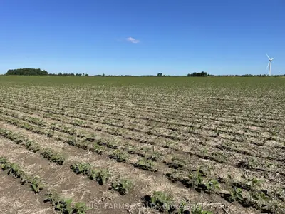 Lt 26&27 Third Concession Line, Chatham-kent, On N0p 2p0