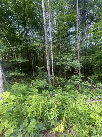 0 Pond Road, Tay Valley, On K0h 2b0