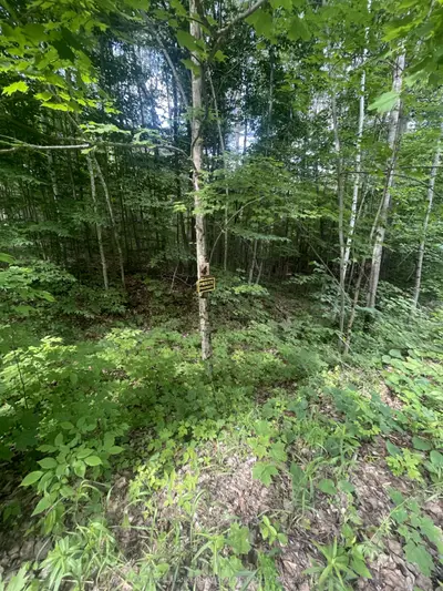 0 Pond Road, Tay Valley, On K0h 2b0