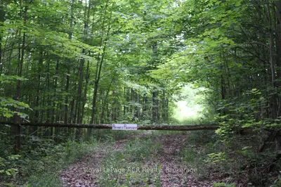 Pt Lt 15 Con 13 Concession 14 Road, Georgian Bluffs, On N0h 1p0