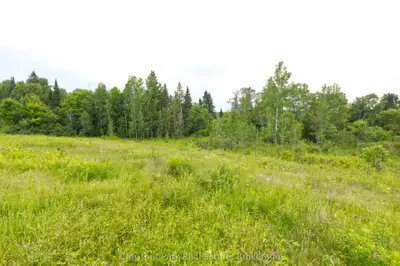 Lot 78 141 Highway, Seguin, On P0c 1j0