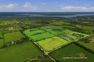 136 Oliver's Road, Kawartha Lakes, On K0m 1a0