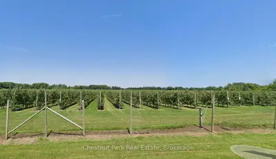 Pt Lt 31 Sideroad 30, Blue Mountains, On, N0h 2p0