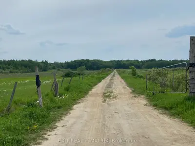 5444 Saumure Road, Orleans - Cumberland And Area, On K4b 1t3