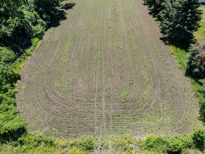 Vacant Land in Front of Yonge