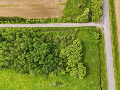 Pt Lt 5 Con 5 Part 1,4 Road, Alfred And Plantagenet, On K0b 1a0