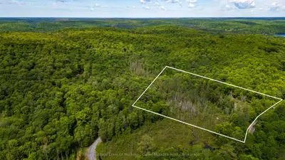 344 North Fox Lake Road, Huntsville, On P1h 2j2