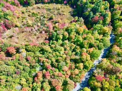 0 Acton Island Road, Muskoka Lakes, On P0b 1j0