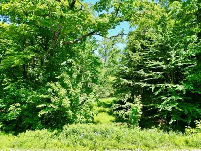 0 Acton Island Road, Muskoka Lakes, On P0b 1j0