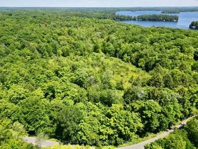 0 Acton Island Road, Muskoka Lakes, On P0b 1j0