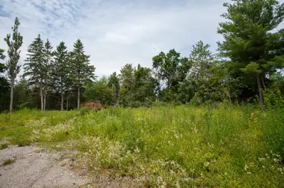 00 Reid Street, Kawartha Lakes, On K0m 1a0