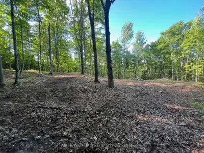 Vacant Land in Hastings Highlands