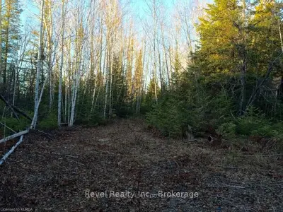 Vacant Land in Kawartha Lakes