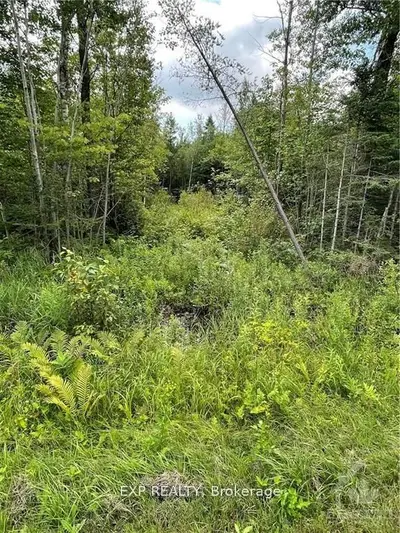 00 A1 Concession Road 4 Road, Alfred And Plantagenet, On K0b 1l0
