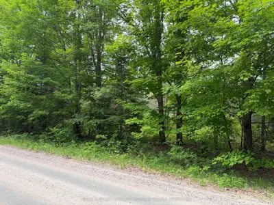 0 Starratt Road, Ryerson, On P0a 1p0