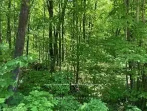Lot 31 River Heights Road, Marmora And Lake, On K0k 2m0