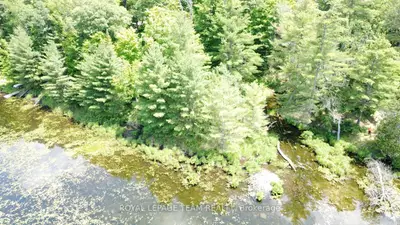 00 Little Silver Lake Road, Tay Valley, On K0h 2b0