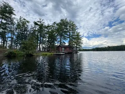 16 Is 12 Cordova Lk Island, Havelock-belmont-methuen, On K0l 1z0