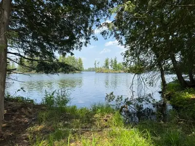 16 Is 12 Cordova Lk Island, Havelock-belmont-methuen, On K0l 1z0