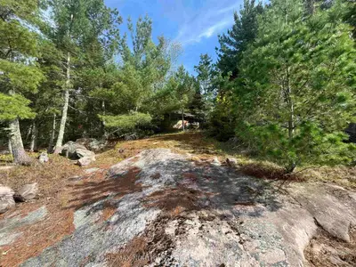 Pin 560660931, Rainy River Remote Area, On P9a 3m3