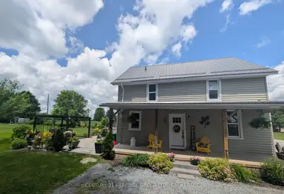Detached in Loyalist