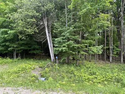 14 Lumberjack Trail, Drummond/north Elmsley, On K7h 3c7