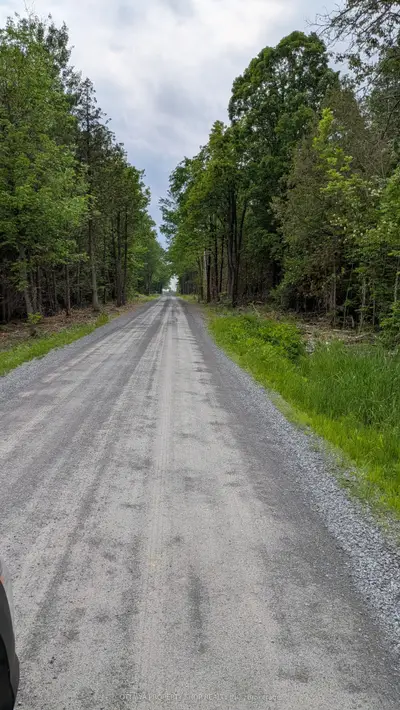 7262 Stone School Road, Greely - Metcalfe - Osgoode - Vernon And Area, On K4p 1m3