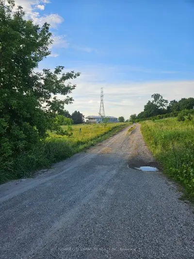 3490 Putnam Road, Thames Centre, On N0l 2b0