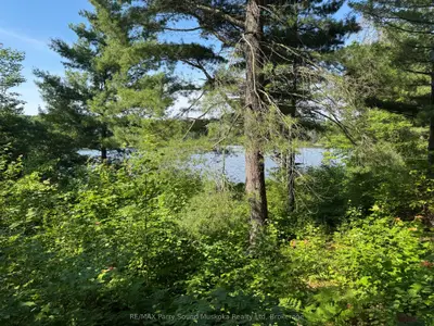 7 Bourbonnaise Island, Parry Sound Remote Area, On P0h 1y0