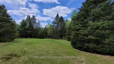 0 North Pickerel Lake Road, Armour, On P0a 1c0