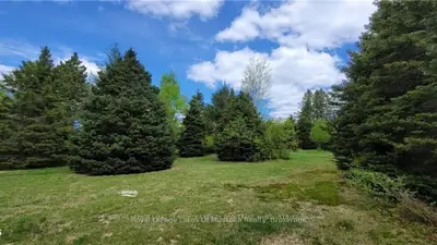 0 North Pickerel Lake Road, Armour, On P0a 1c0