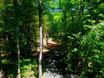 Lot 6 Fairy Falls Road, Lake Of Bays, On P0b 1a0