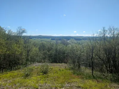 Vacant Land in Ryerson