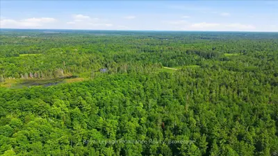 Vacant Land in Addington Highlands