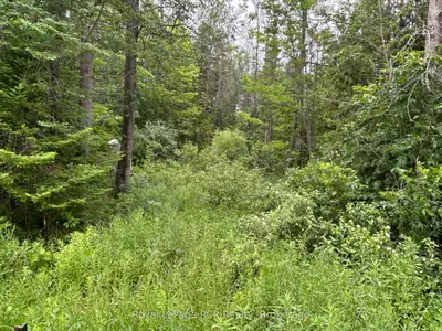 Vacant Land in Georgian Bluffs