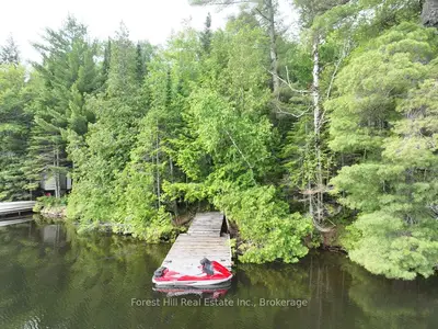 0 Alice Drive, Algonquin Highlands, On P0a 1e0