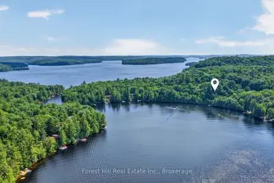 0 Alice Drive, Algonquin Highlands, On P0a 1e0