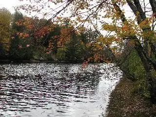 1260 Mathiasville Road, Bracebridge, On P1l 1x1