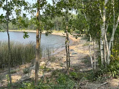 61 Pentney Lane, Lake Of The Woods, On P0w 1m0