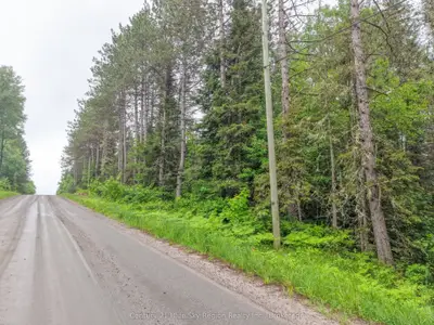0 Con 12 Pt Lot 11 Pearceley Road, Magnetawan, On P0a 1z0