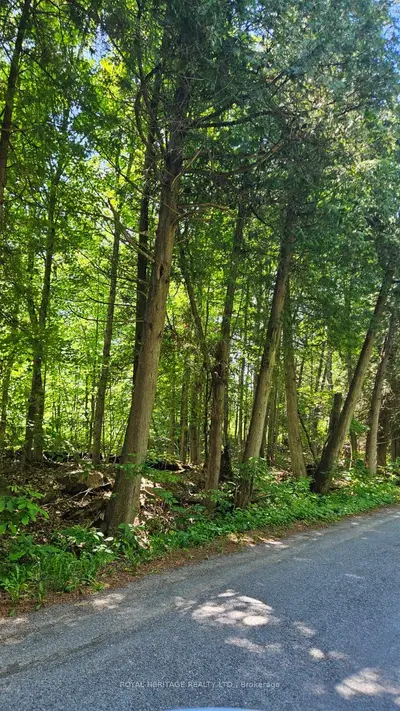 21-a Mill Line Road, Trent Lakes, On K0m 1a0