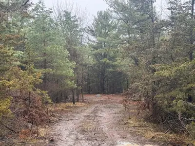 590 Love Road, Loyalist, On K0h 2h0