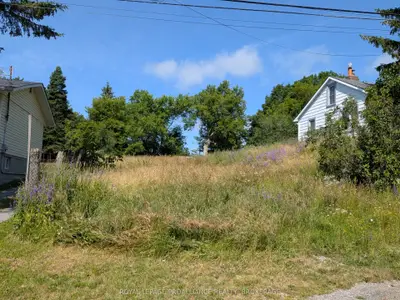 20 Shaw Street, Kingston, On K7k 4y4