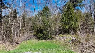 1160 Balmer Road, North Kawartha, On K0l 1a0