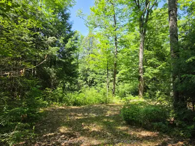 1160 Balmer Road, North Kawartha, On K0l 1a0
