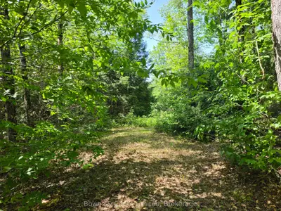 1160 Balmer Road, North Kawartha, On K0l 1a0