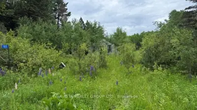 Vacant Land in Neebing