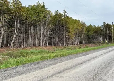 0 Rocksprings Road, Elizabethtown-kitley, On K0g 1r0