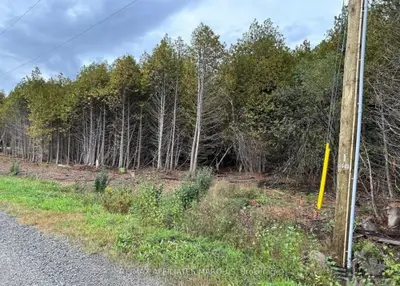 0 Rocksprings Road, Elizabethtown-kitley, On K0g 1r0