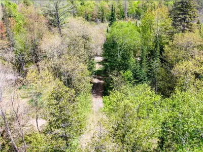 139 Gibson Bay Road, Whitestone, On P0a 1g0
